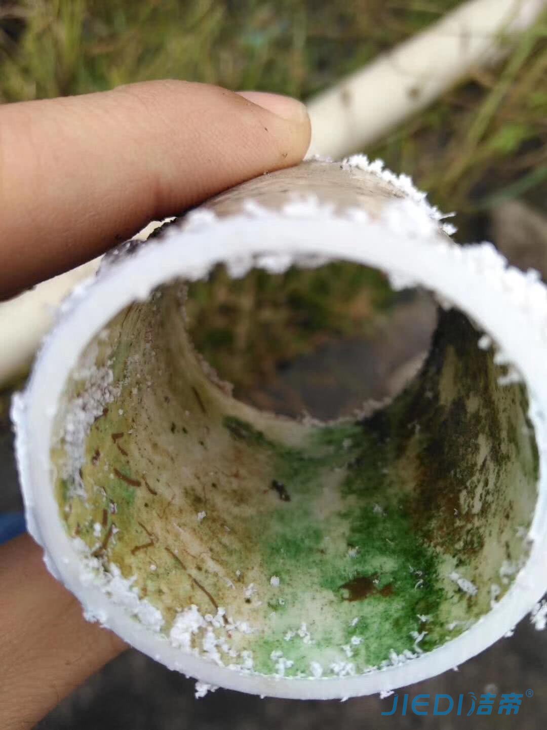 金属管道与塑料管道常年累月没有清洗，对人体的伤害