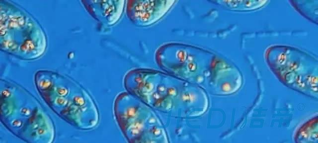 家庭水管清洗不是你想的那么简单，看清再下手，不走冤枉路！